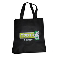 湛江KB02 无纺布购物袋